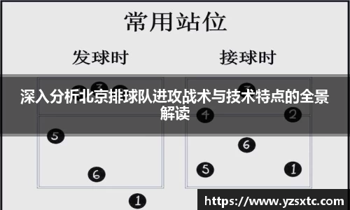 8868体育