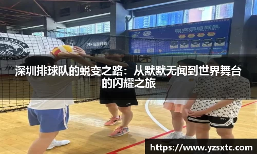 8868体育官方入口,8868体育官网登录,8868体育官方网站